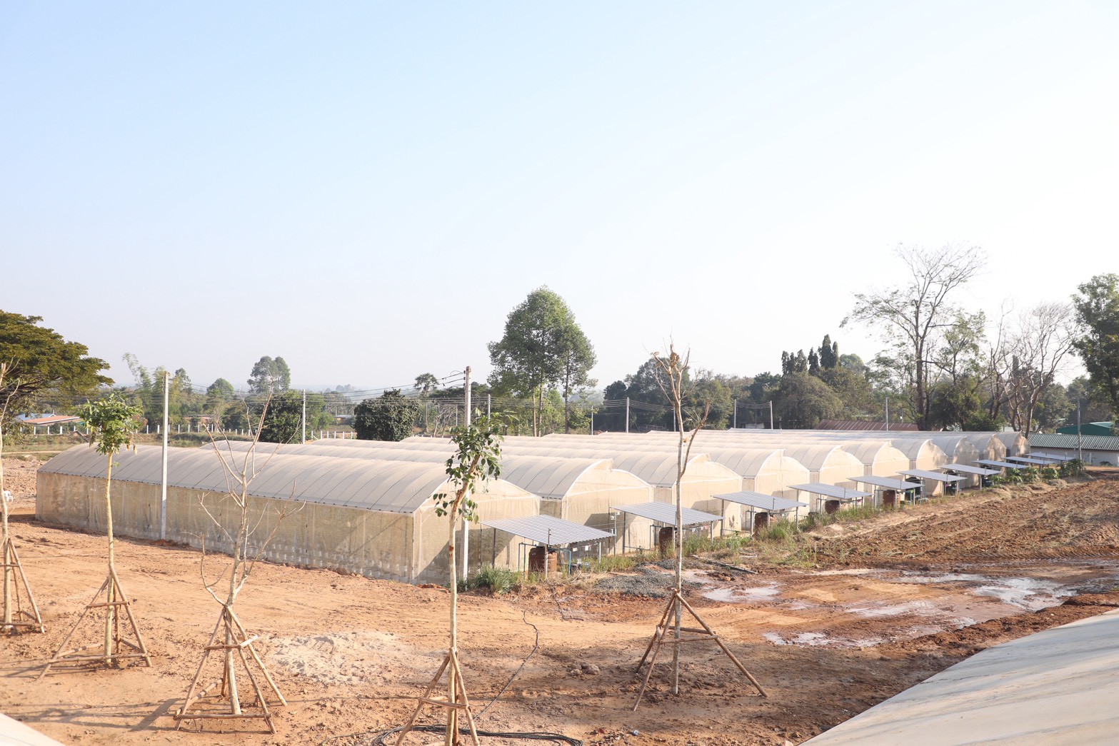 title - ส.ป.ก. เข้าร่วมพิธีเปิดสำนักงานฯ พร้อมมอบเอกสารสิทธิ์ การใช้ประโยชน์ที่ดิน (ส.ป.ก.) และประชุมการติดตามการดำเนินงานตามแผนปฏิบัติการพัฒนาพื้นที่สถานีวิจัยการเกษตรและพัฒนาโครงการหลวงโนนดินแดง ณ จังหวัดบุรีรัมย์